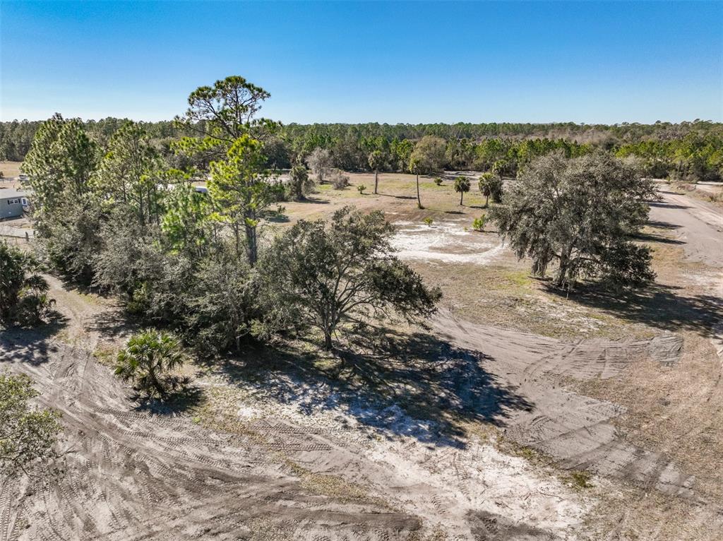 Xxxx Favoretta Road Bunnell, FL 32110 - Photo 4 of 11