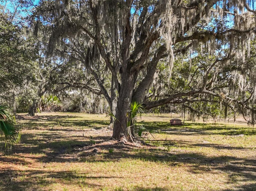 Xxxx Favoretta Road Bunnell, FL 32110 - Photo 7 of 11