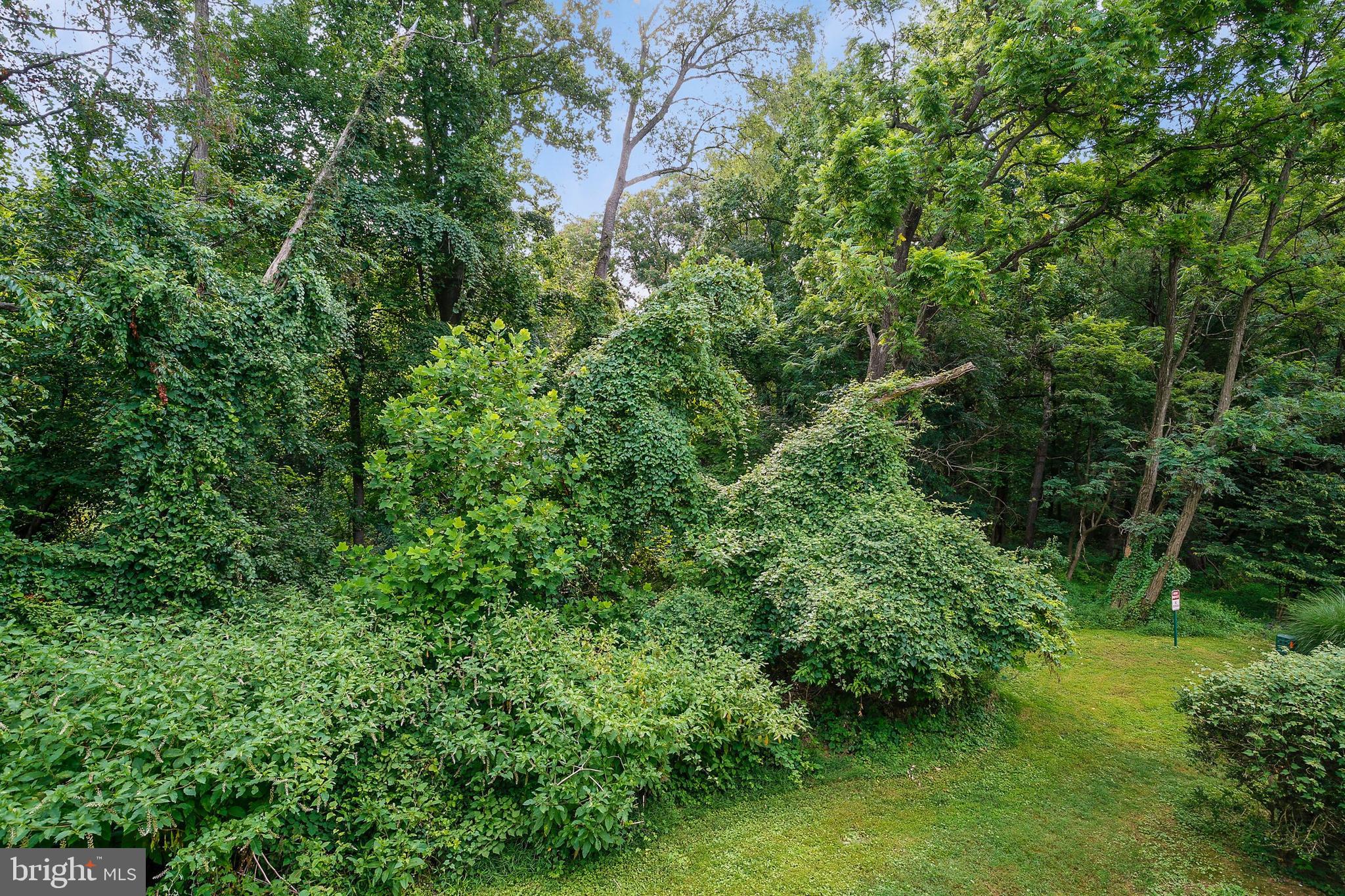 10751 Lester Street Silver Spring, MD 20902 - Photo 33 of 35 Gallery Image 33