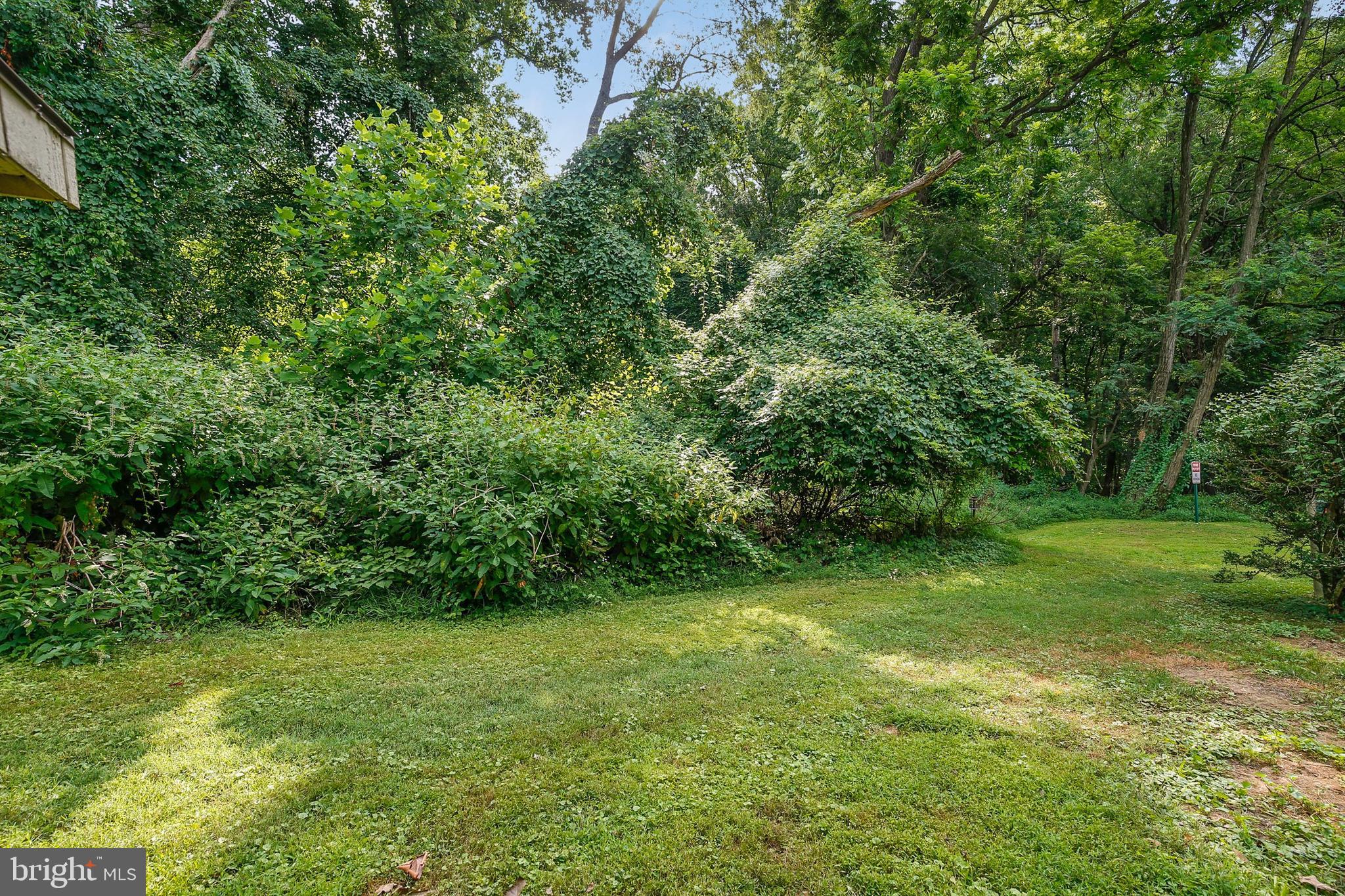10751 Lester Street Silver Spring, MD 20902 - Photo 34 of 35 Gallery Image 34