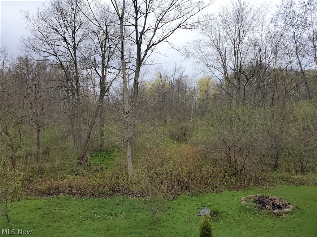 3192 South Medina Line Road Wadsworth, OH 44281 - Photo 14 of 17 Gallery Image 14