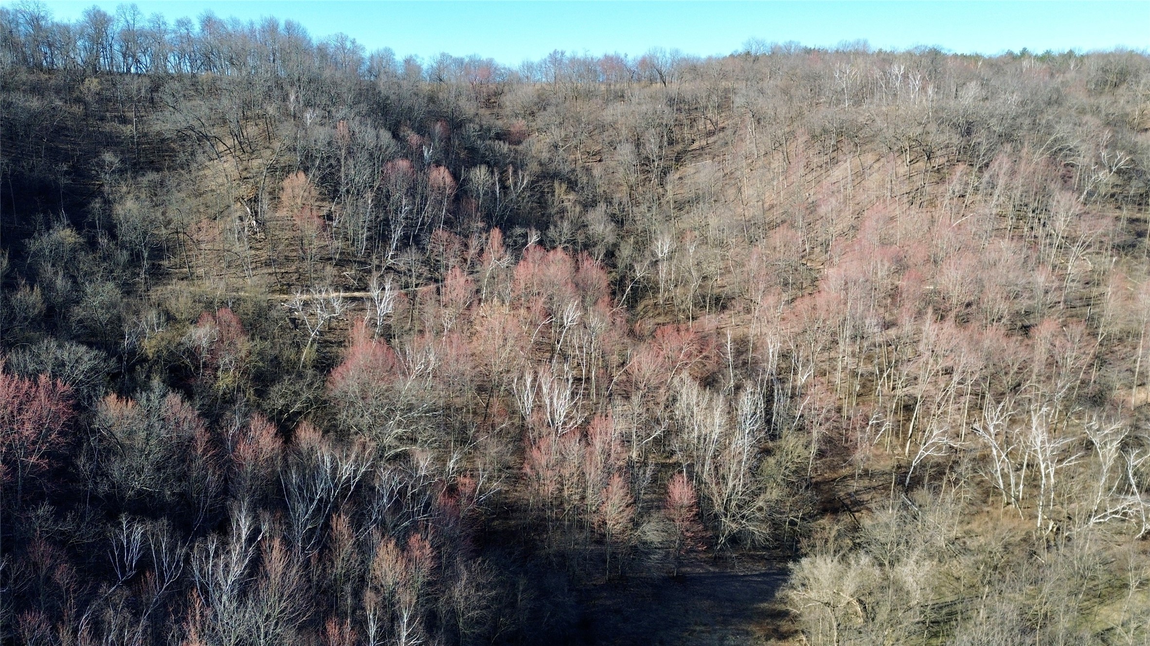 N3430 County Rd II Bangor, WI 54614 - Photo 1 of 1
