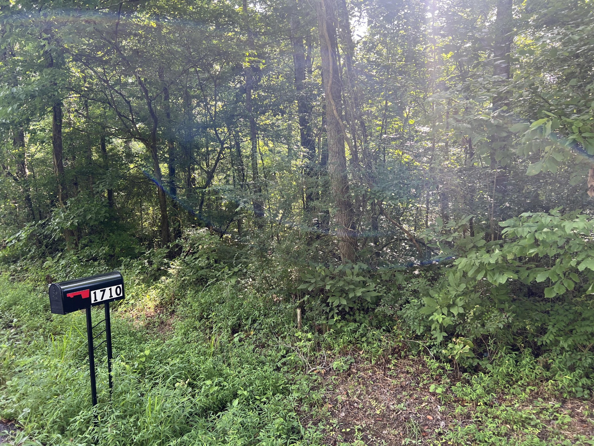 1710 Holly Glen Road Decatur, TN 37322 - Photo 1 of 7 a sign that is sitting in a forest