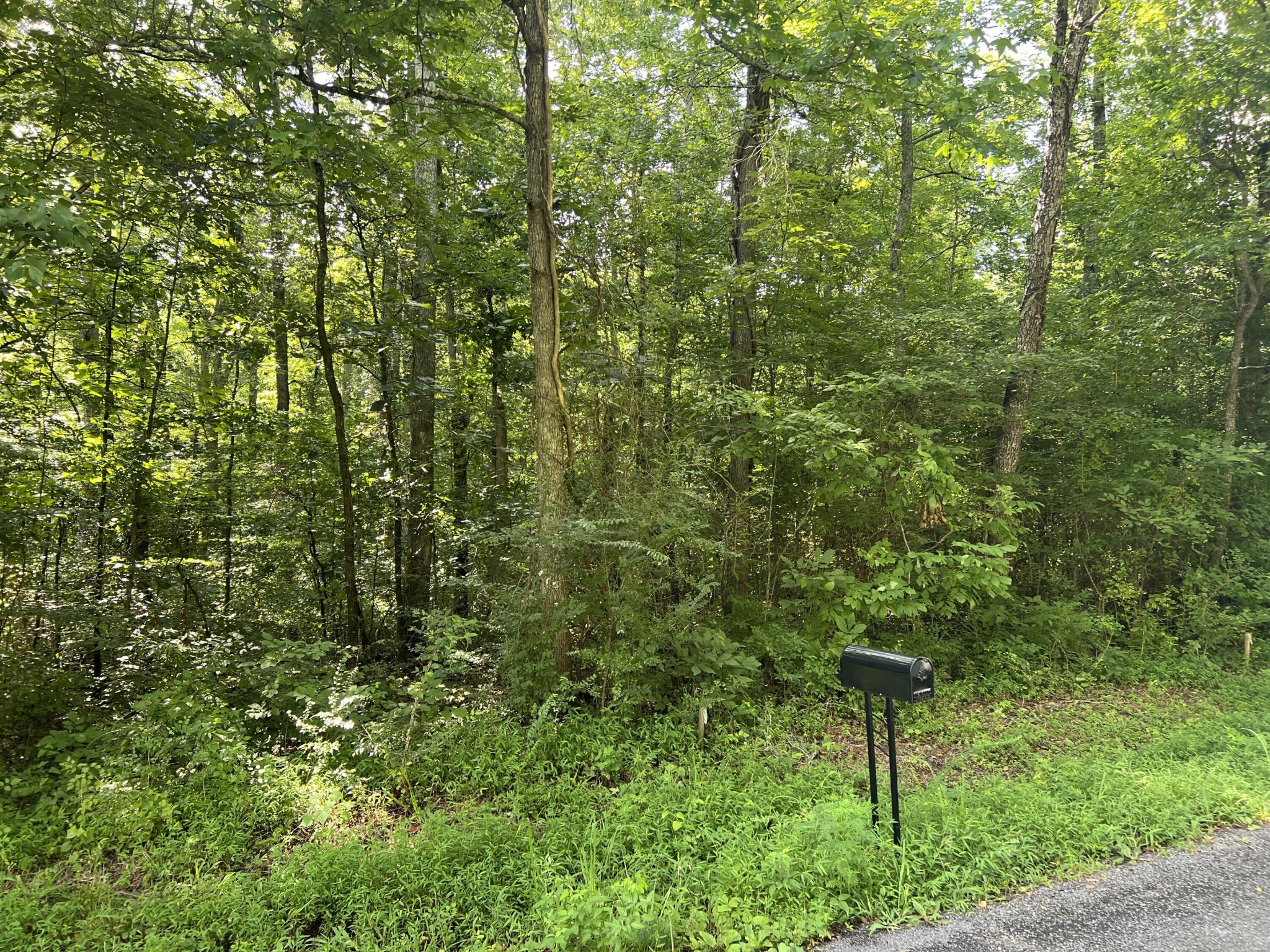 1710 Holly Glen Road Decatur, TN 37322 - Photo 6 of 7 a view of a bench in a forest