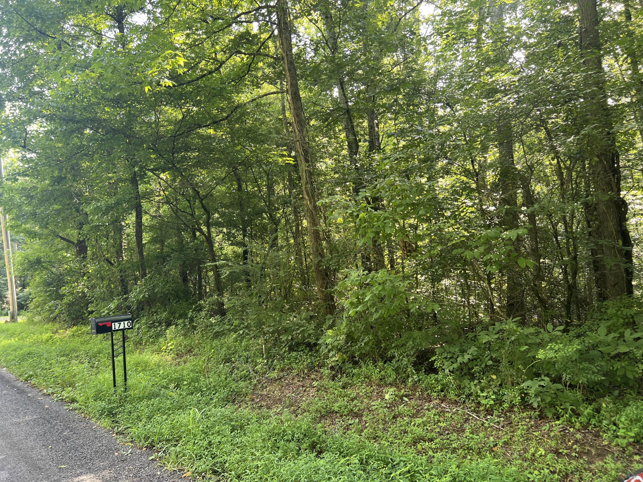 1710 Holly Glen Road Decatur, TN 37322 - Photo 7 of 7 a view of a forest