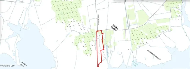 $125,000 | 0 White Plains Road, Engelhard, NC 27824