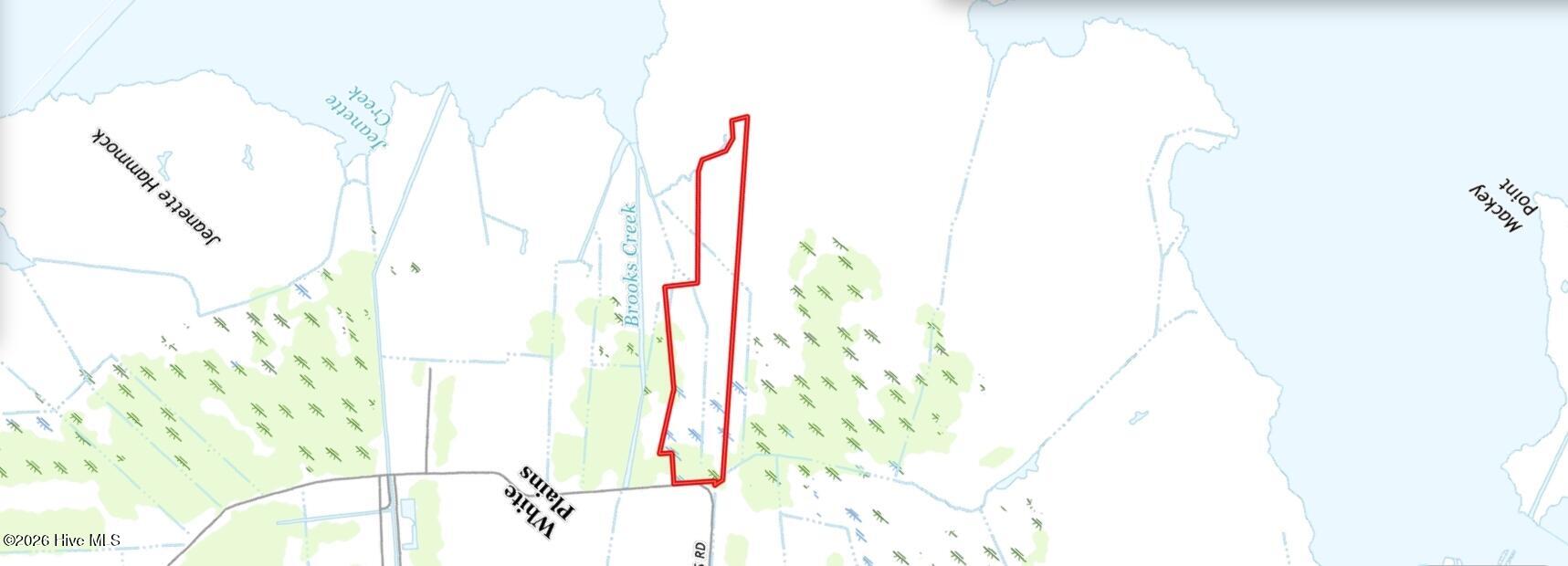 0 White Plains Road Engelhard, NC 27824 - Photo 6 of 10 Screenshot_28-1-2026_1018_id.land