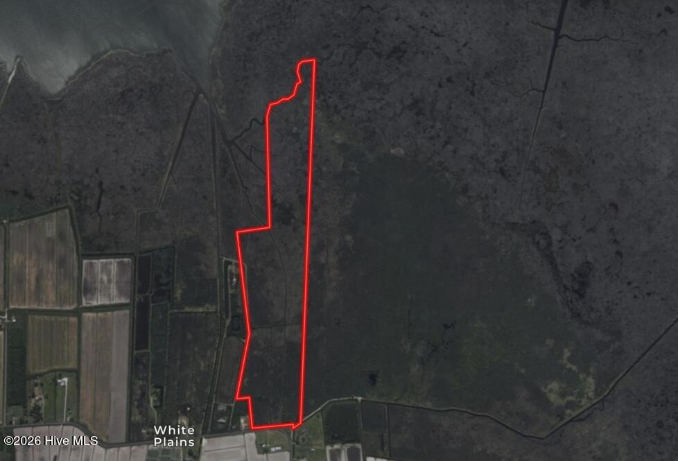 0 White Plains Road Engelhard, NC 27824 - Photo 7 of 10 Screenshot_28-1-2026_05626_id.land