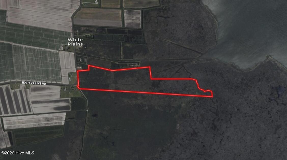 0 White Plains Road Engelhard, NC 27824 - Photo 8 of 10 Screenshot_28-1-2026_05656_id.land