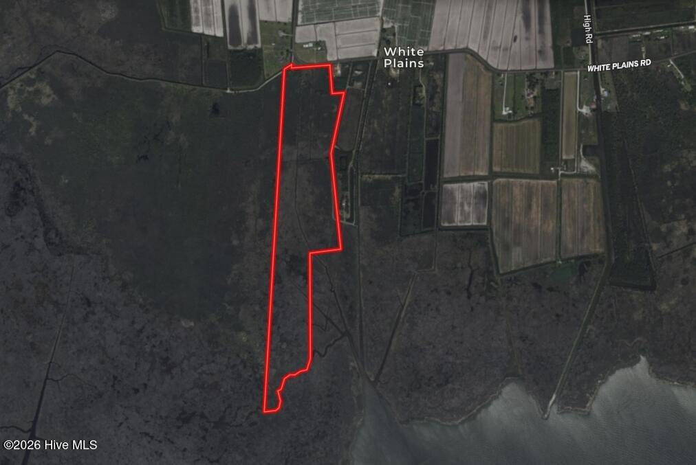 0 White Plains Road Engelhard, NC 27824 - Photo 9 of 10 Screenshot_28-1-2026_05540_id.land