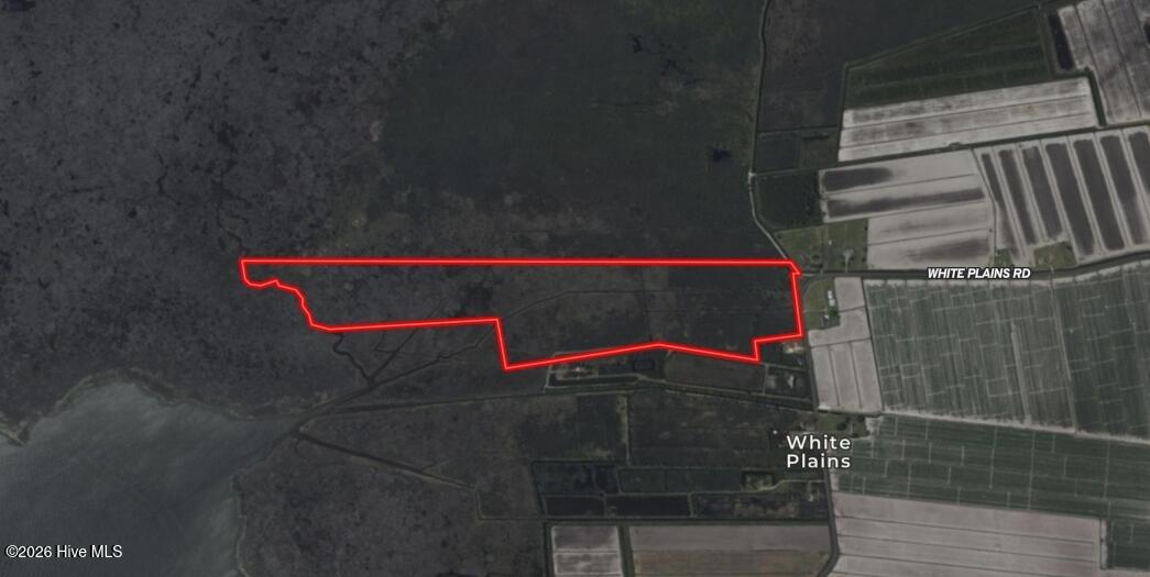 0 White Plains Road Engelhard, NC 27824 - Photo 10 of 10 Screenshot_28-1-2026_0561_id.land