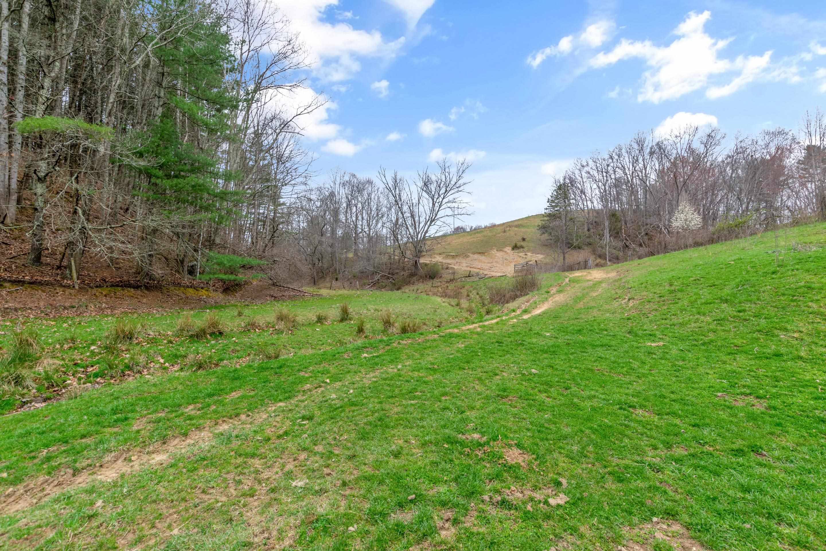 497 Horse Ridge Road Northwest Willis, VA 24380 - Photo 25 of 64 Gallery Image 25