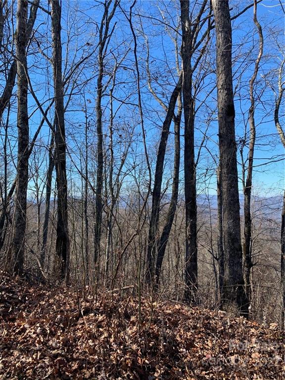 125 Boar Ridge Road, Unit 125 Sylva, NC 28779 - Photo 3 of 18 a backyard of a house with lots of green space