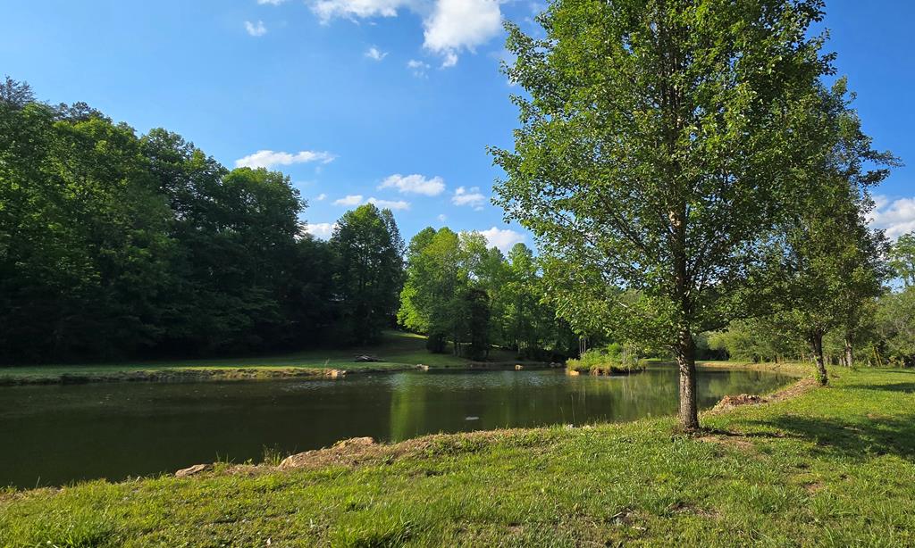 3800 Cutcane Road Mineral Bluff, GA 30559 - Photo 66 of 68
