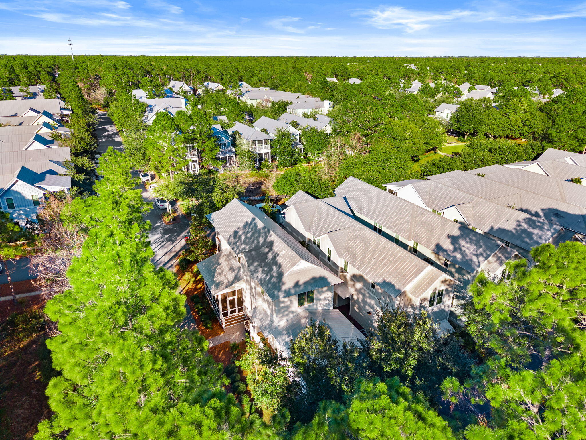 44 Royal Fern Way Santa Rosa Beach, FL 32459 - Photo 58 of 77 42-web-or-mls-44 East Royal Fern Way -42