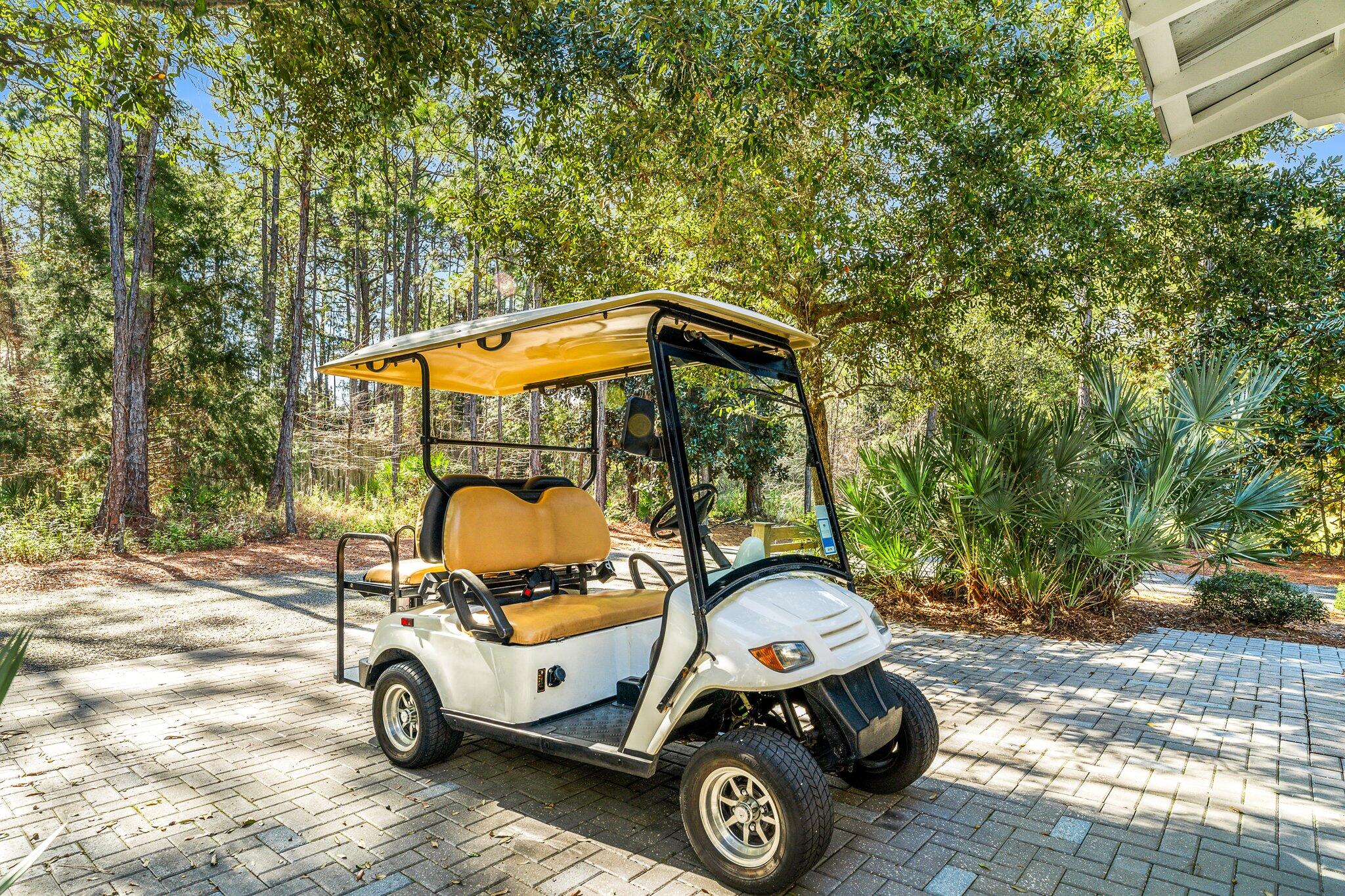44 Royal Fern Way Santa Rosa Beach, FL 32459 - Photo 77 of 77 44-44 East Royal Fern Way_43