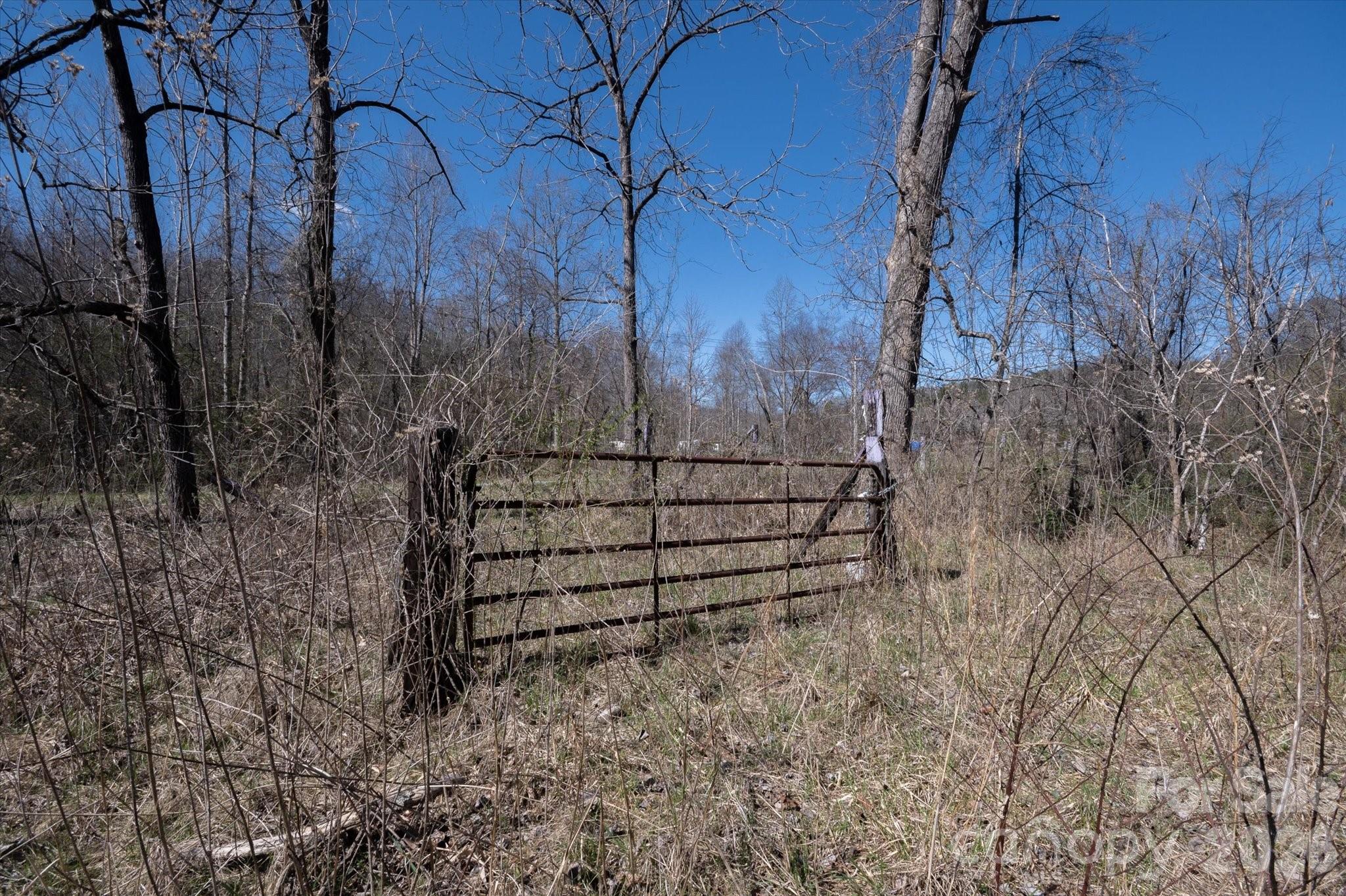 1739 Polly Spout Road Marion, NC 28752 - Photo 13 of 20 a view of a yard with wooden fence and trees