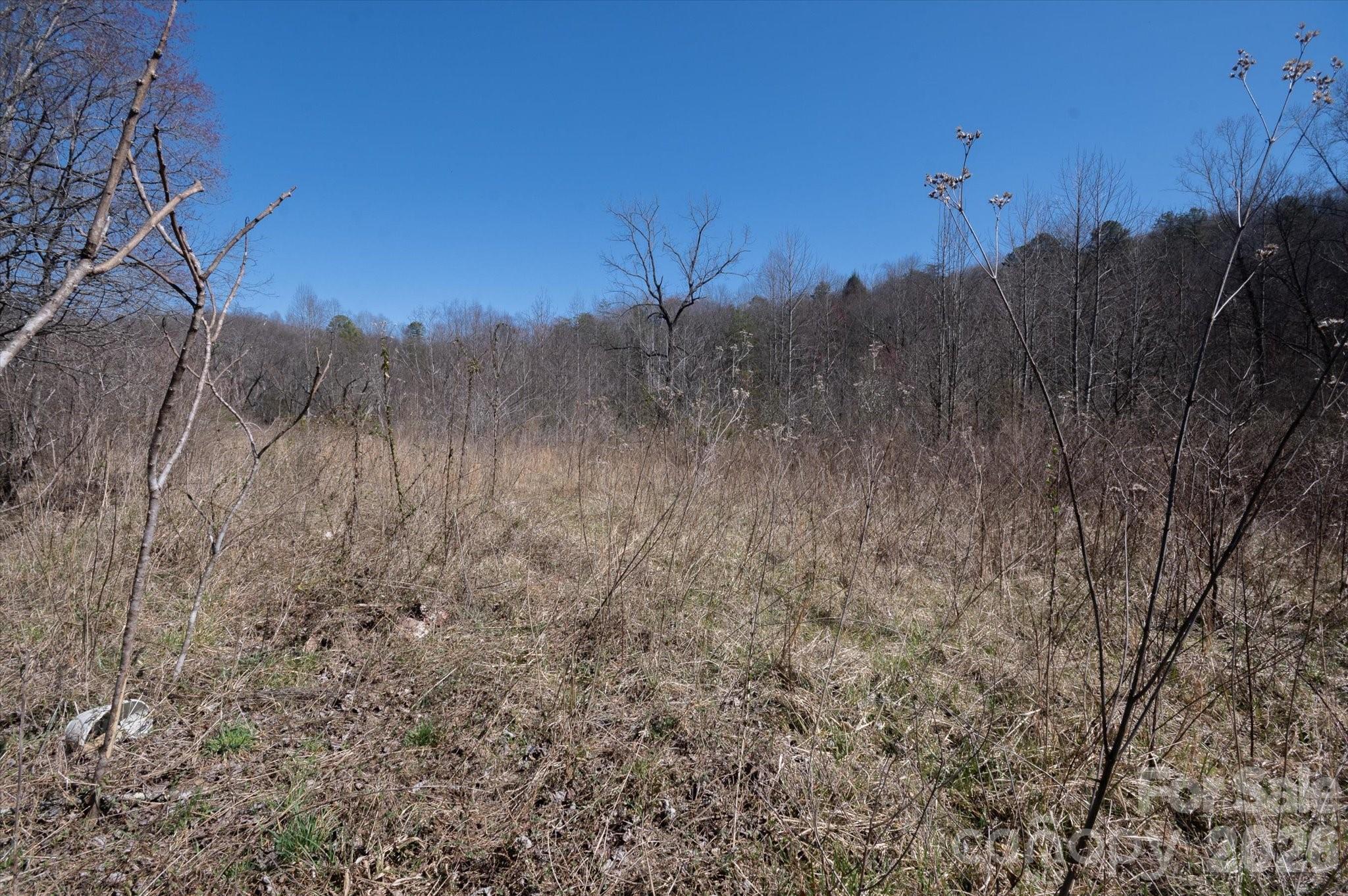 1739 Polly Spout Road Marion, NC 28752 - Photo 14 of 20 a view of a dry yard with trees in the background