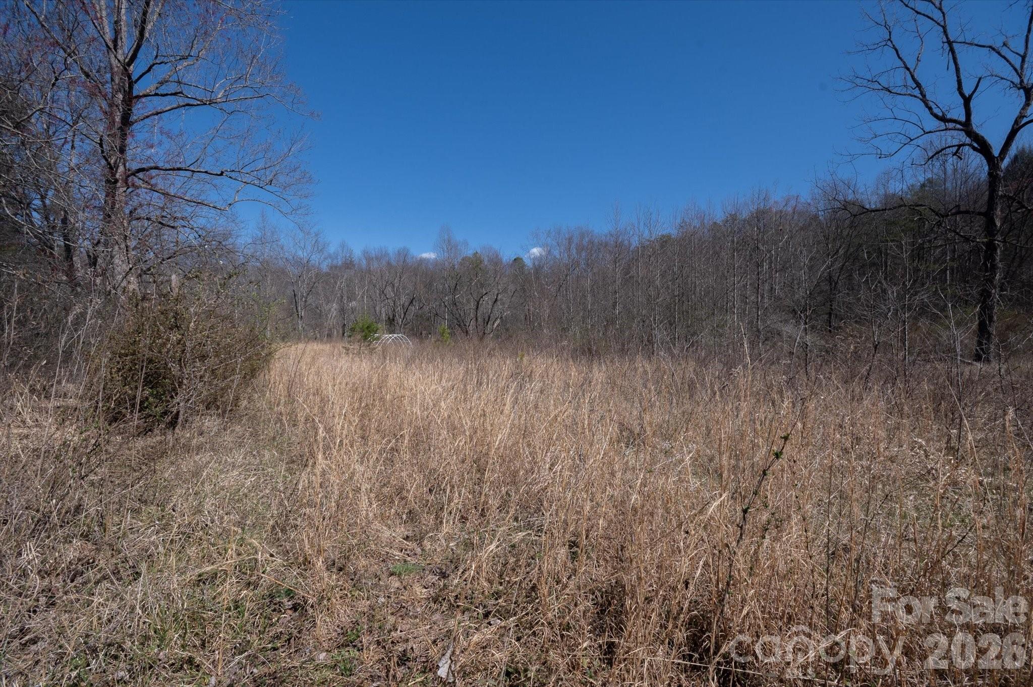 1739 Polly Spout Road Marion, NC 28752 - Photo 16 of 20 a view of mountain with trees in the background
