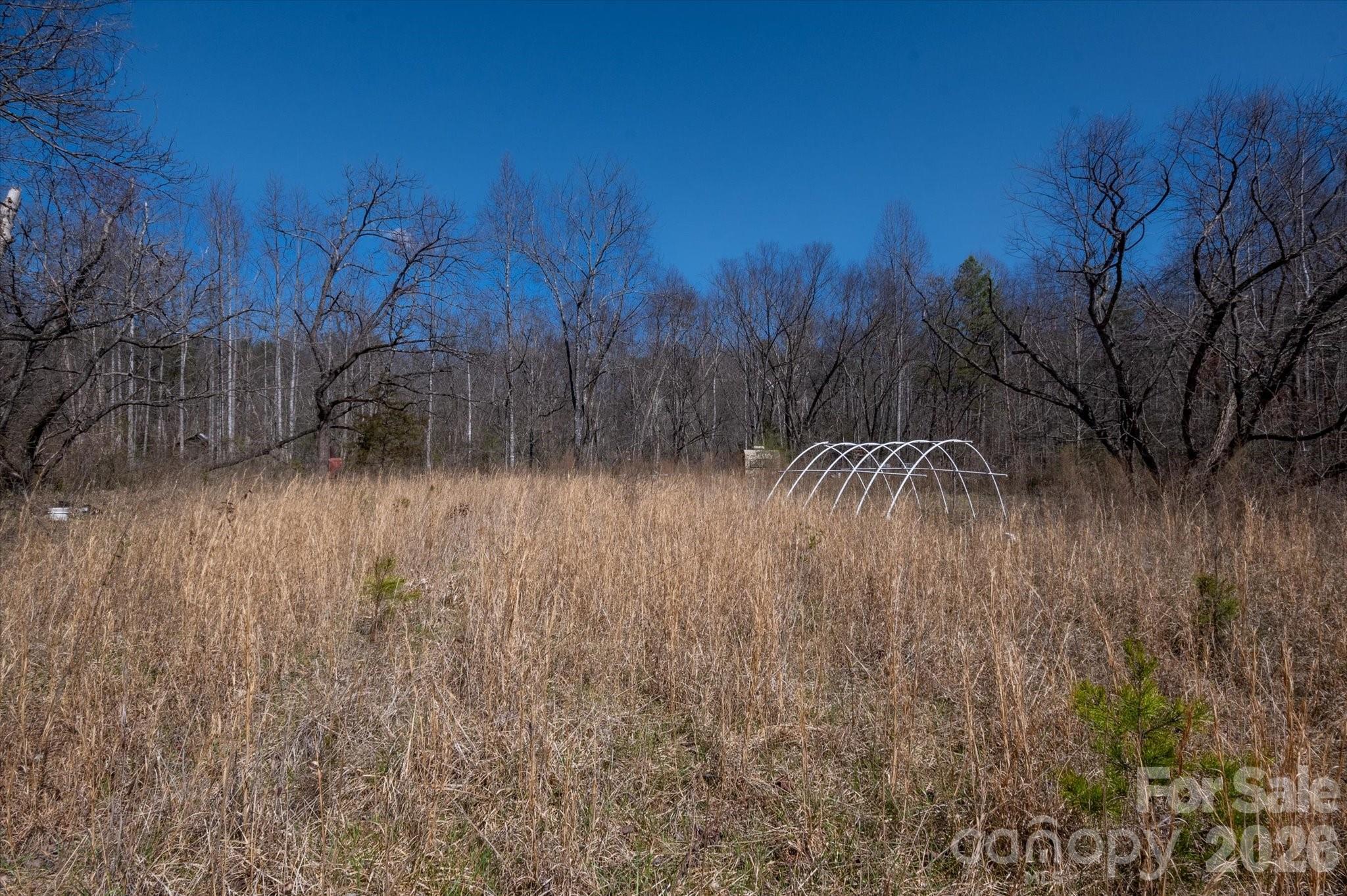 1739 Polly Spout Road Marion, NC 28752 - Photo 18 of 20 a view of a yard