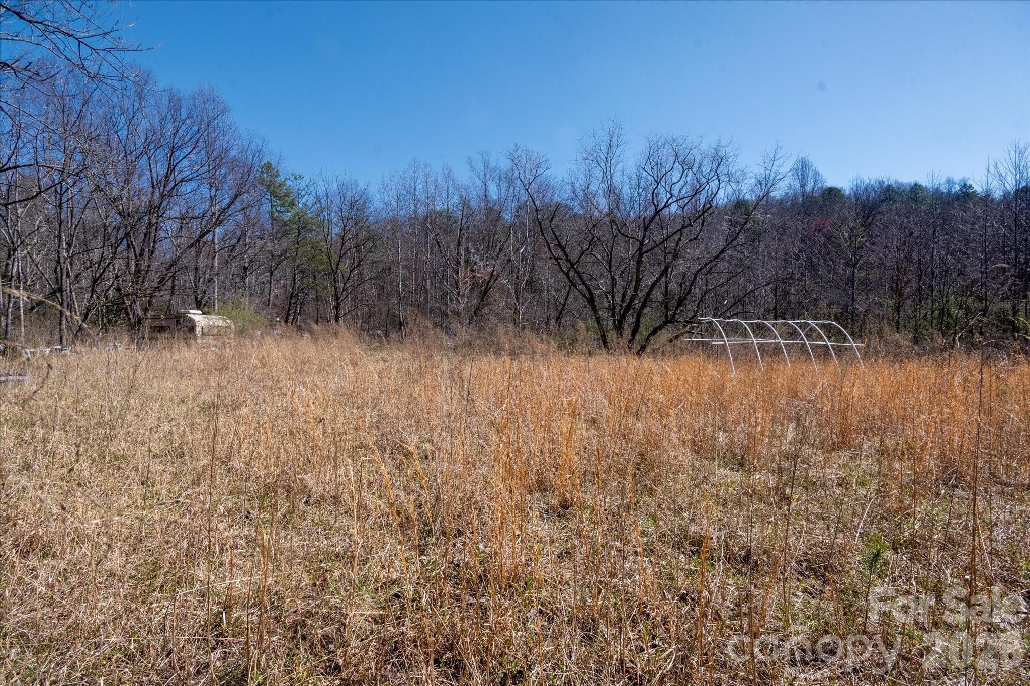 1739 Polly Spout Road Marion, NC 28752 - Photo 19 of 20 a backyard of a house with lots of green space