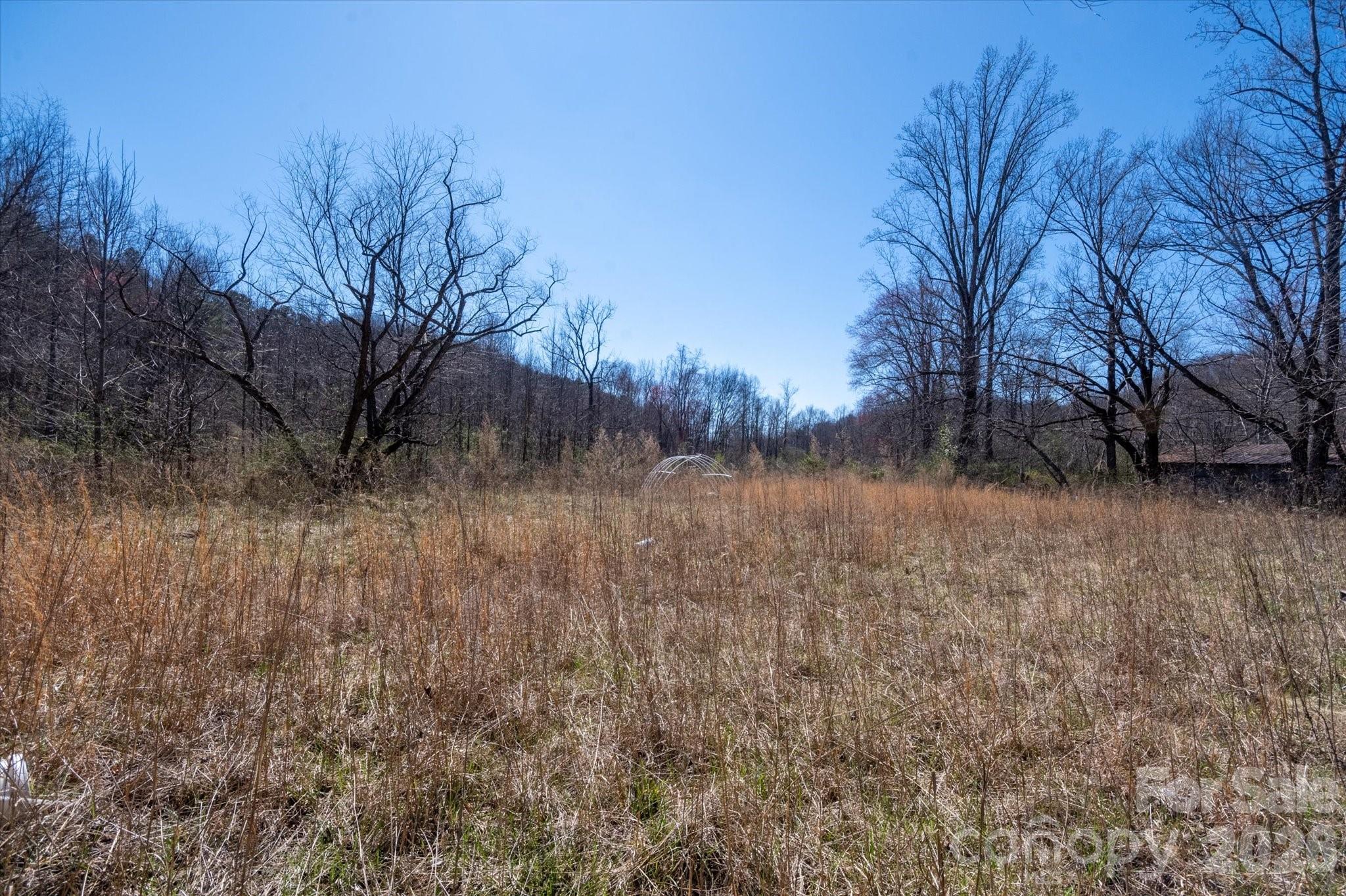 1739 Polly Spout Road Marion, NC 28752 - Photo 20 of 20 a view of lake with a tree in the background
