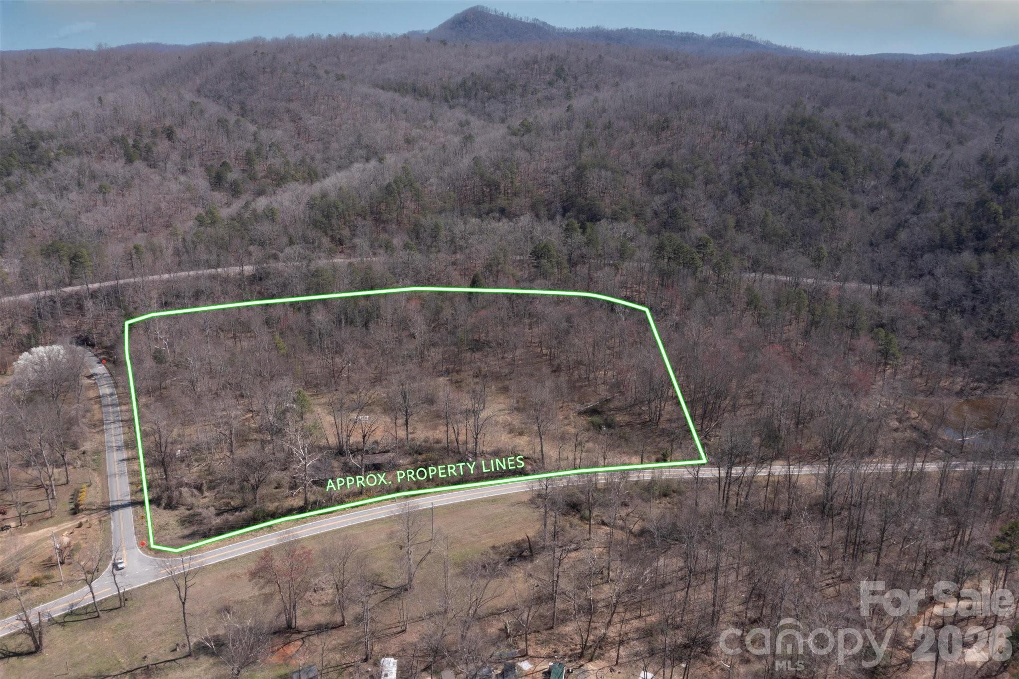1739 Polly Spout Road Marion, NC 28752 - Photo 5 of 20 a view of a dry yard