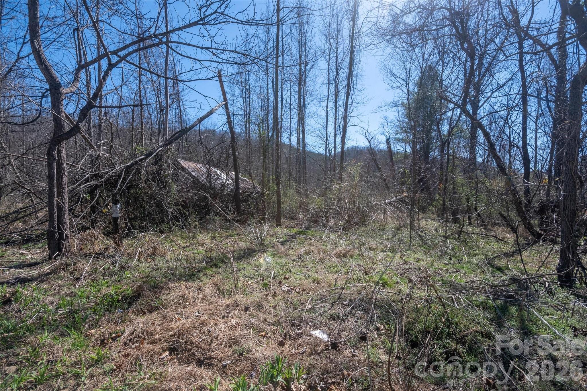 1739 Polly Spout Road Marion, NC 28752 - Photo 9 of 20 a backyard of a house with lots of green space