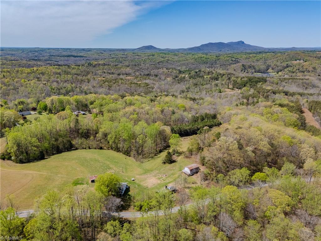 1749 Phillips Road Sandy Ridge, NC 27046 - Photo 33 of 43