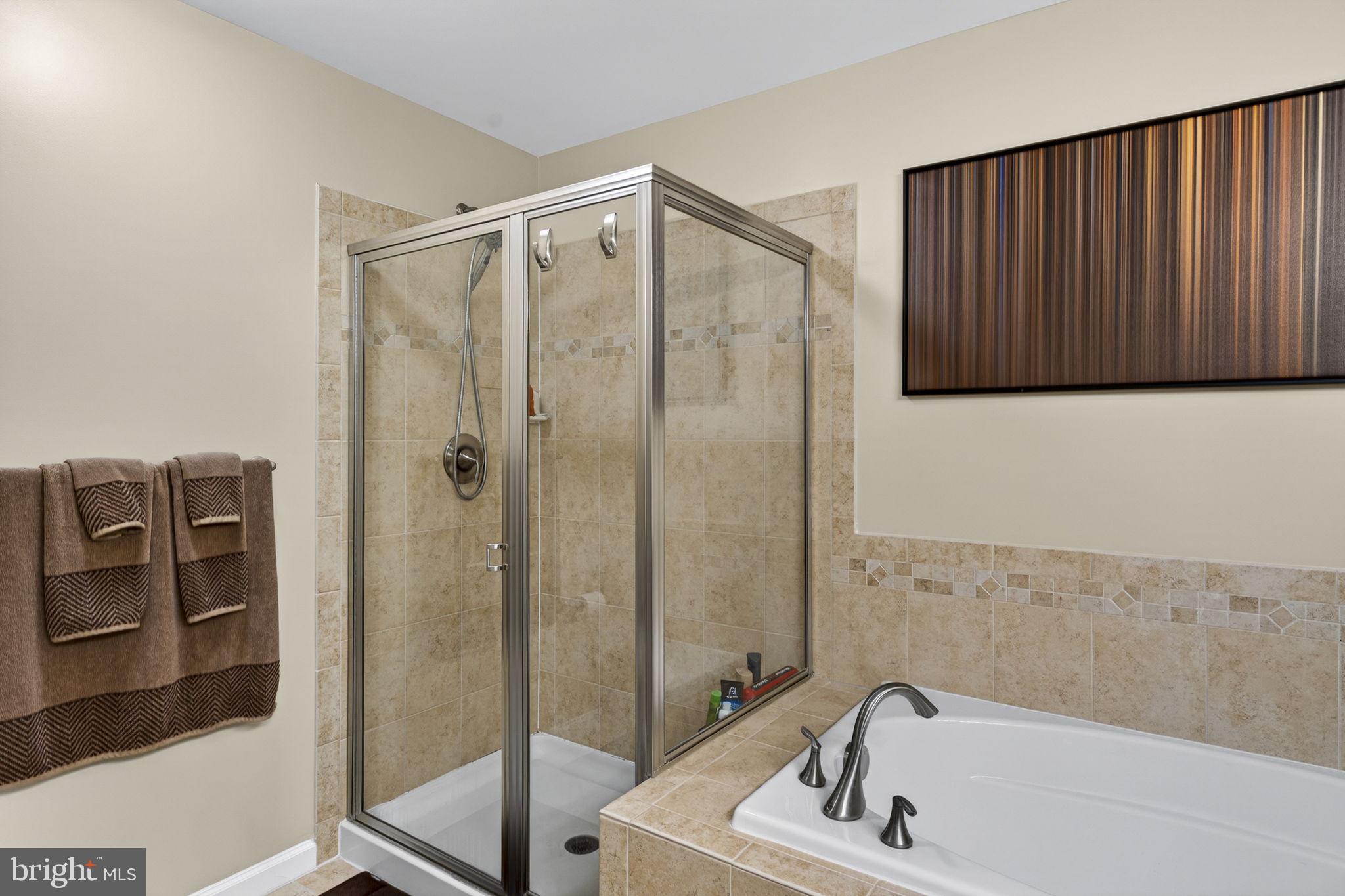 42553 Sunset Ridge Square Ashburn, VA 20148 - Photo 42 of 51 Primary bathroom