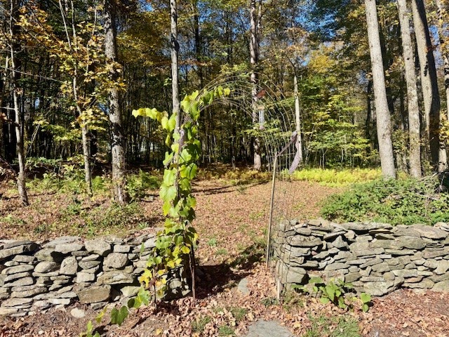 142 John Smith Road Pharsalia, NY 13844 - Photo 28 of 50 Gallery Image 28