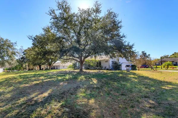a view of a big yard with large trees