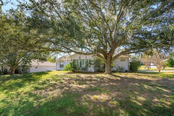 a white house that has a tree in front of it
