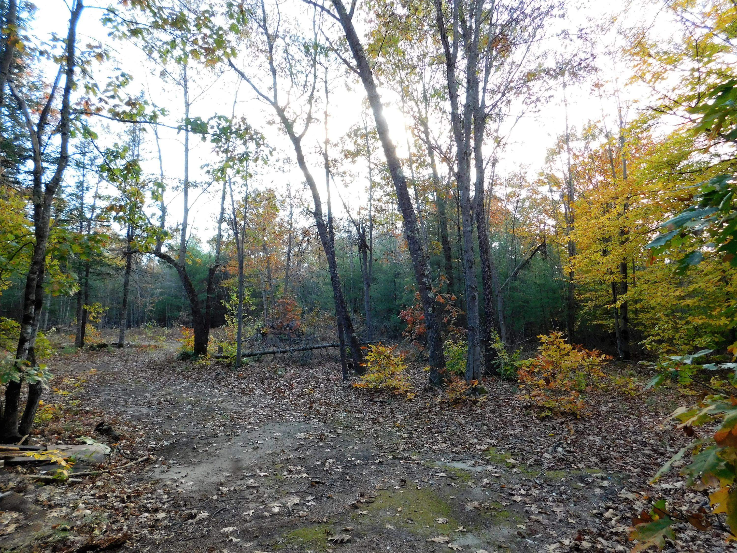1 Winterbrook Road Mechanic Falls, ME 04256 - Photo 15 of 18 Partial Clearing