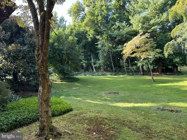 a view of a park