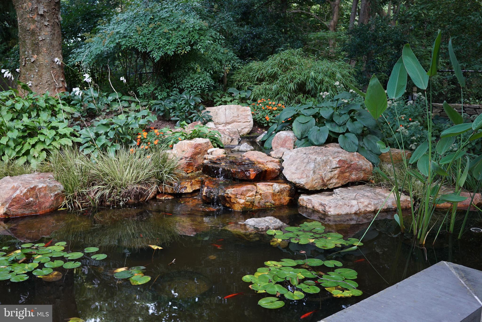 6418 Dahlonega Road Bethesda, MD 20816 - Photo 14 of 47 Gallery Image 14