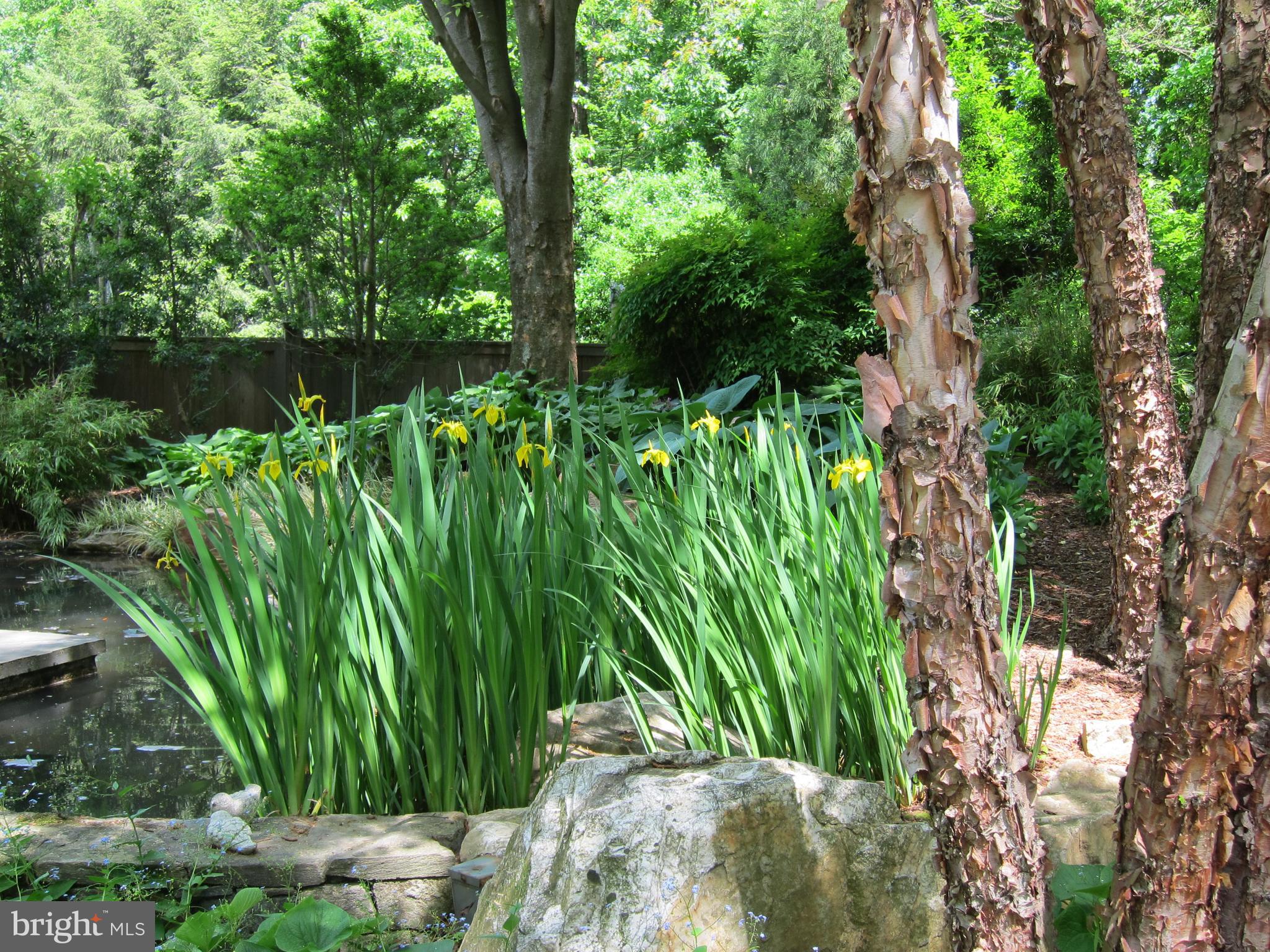 6418 Dahlonega Road Bethesda, MD 20816 - Photo 18 of 47 Gallery Image 18