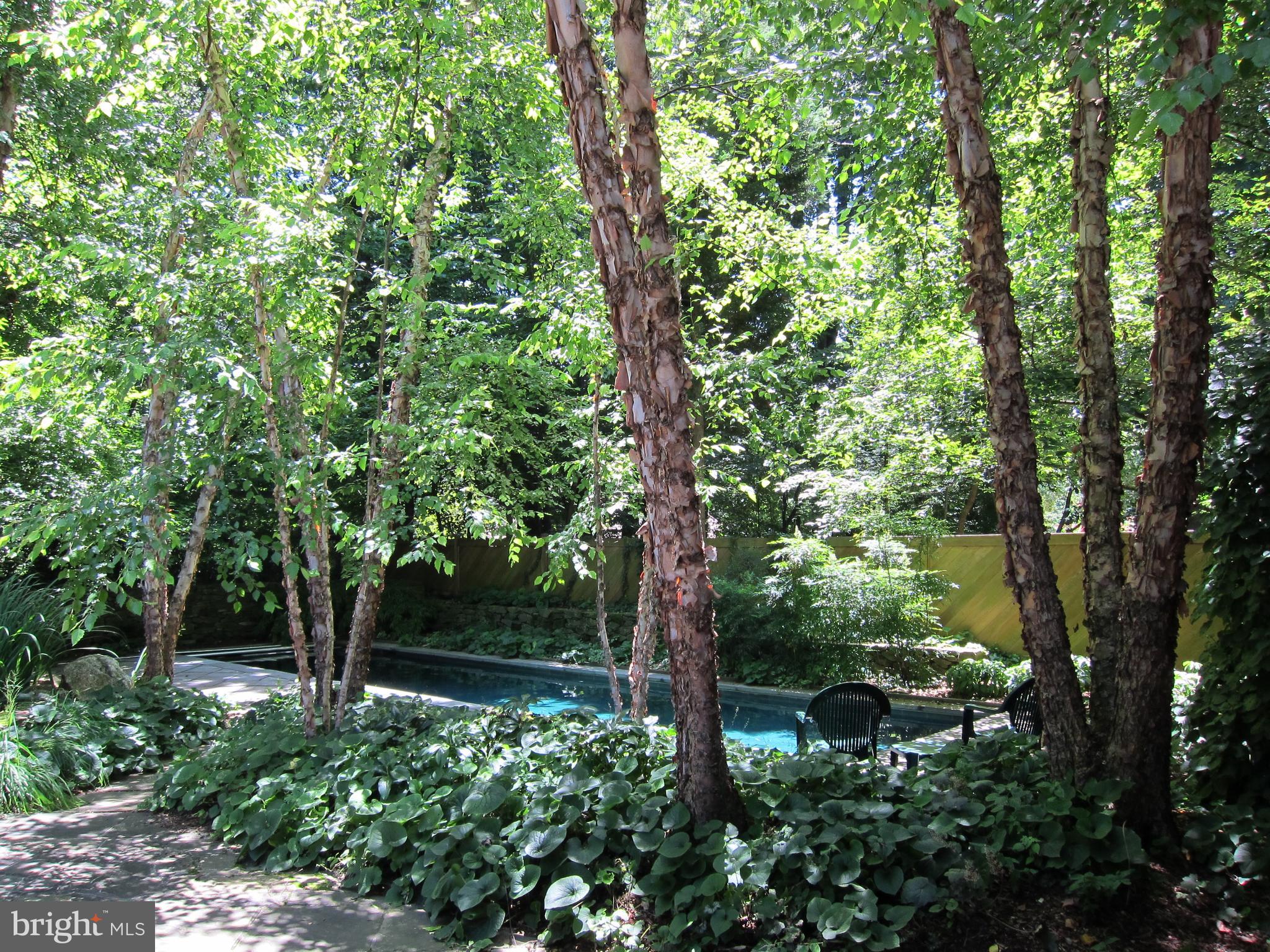6418 Dahlonega Road Bethesda, MD 20816 - Photo 23 of 47 Gallery Image 23