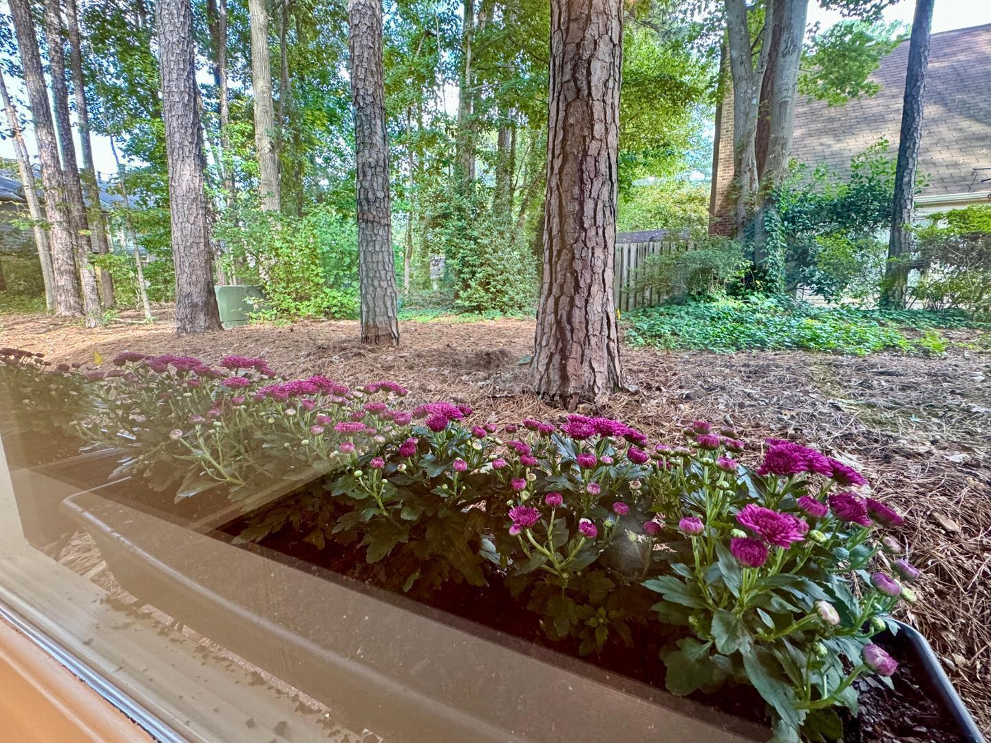 5509 Hamstead Crossing Raleigh, NC 27612 - Photo 19 of 21 Photo #19