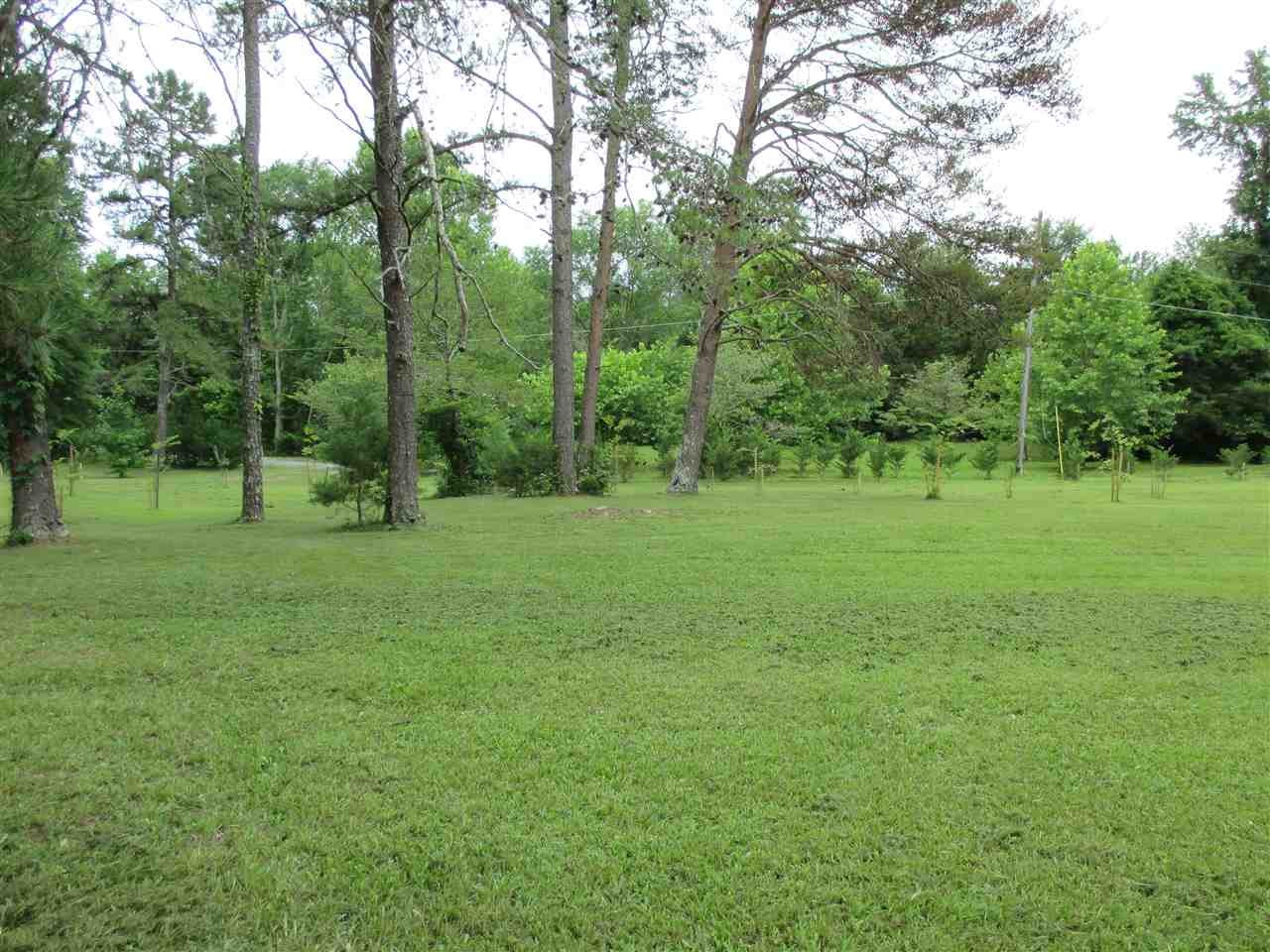 0 Cunningham Drive Decatur, TN 37322 - Photo 4 of 34 Gallery Image 4