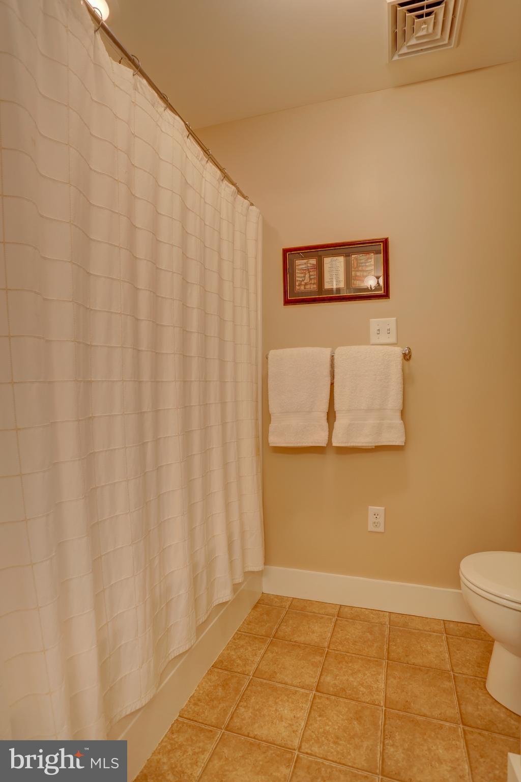 809 Disston View Drive Lititz, PA 17543 - Photo 50 of 80