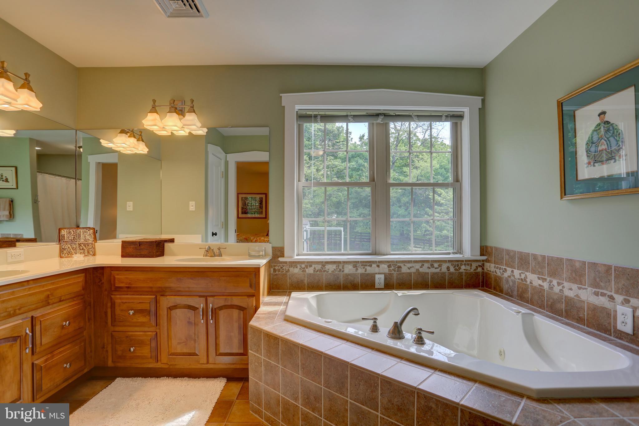 809 Disston View Drive Lititz, PA 17543 - Photo 56 of 80