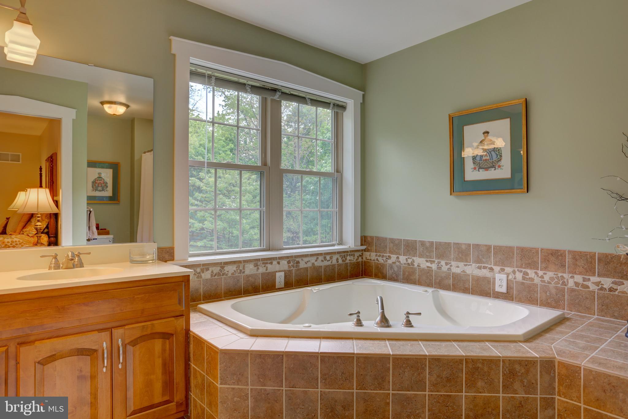 809 Disston View Drive Lititz, PA 17543 - Photo 57 of 80