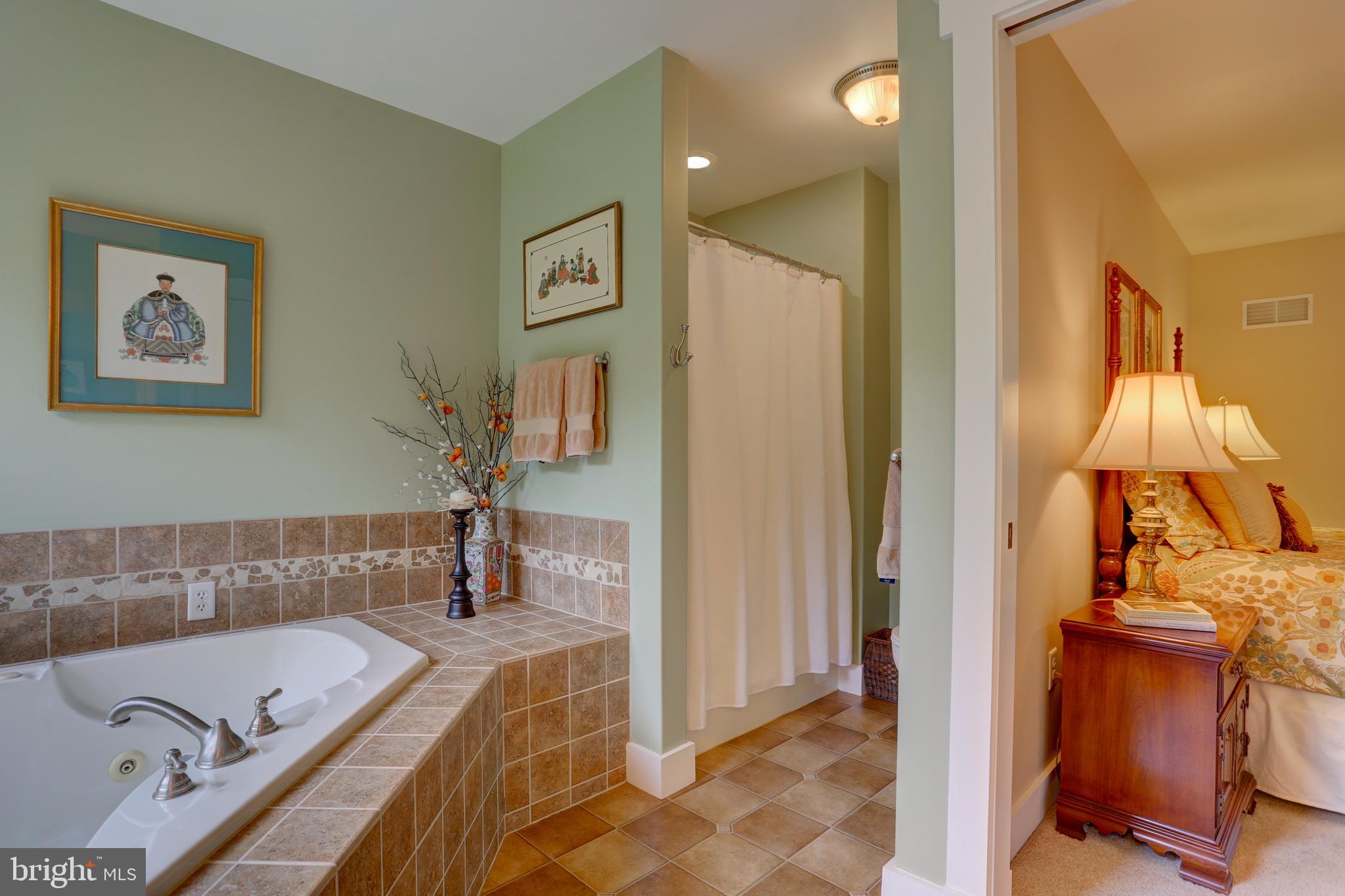 809 Disston View Drive Lititz, PA 17543 - Photo 58 of 80