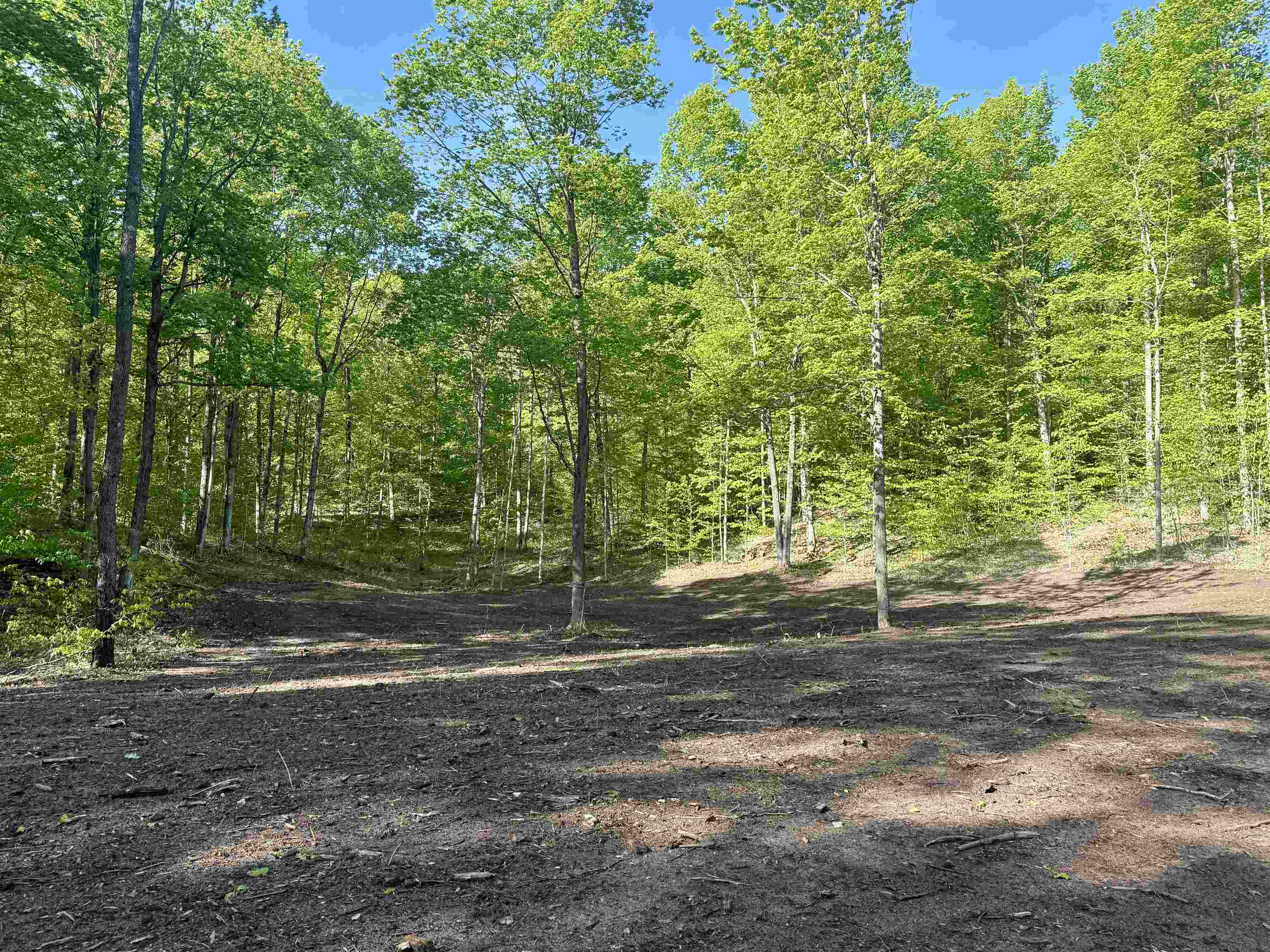 1474 East Solaris Way Traverse City, MI 49684 - Photo 1 of 11 1936713-BA44BFE2-3F64-4020-AB12-92236FA52F4F.JPG
