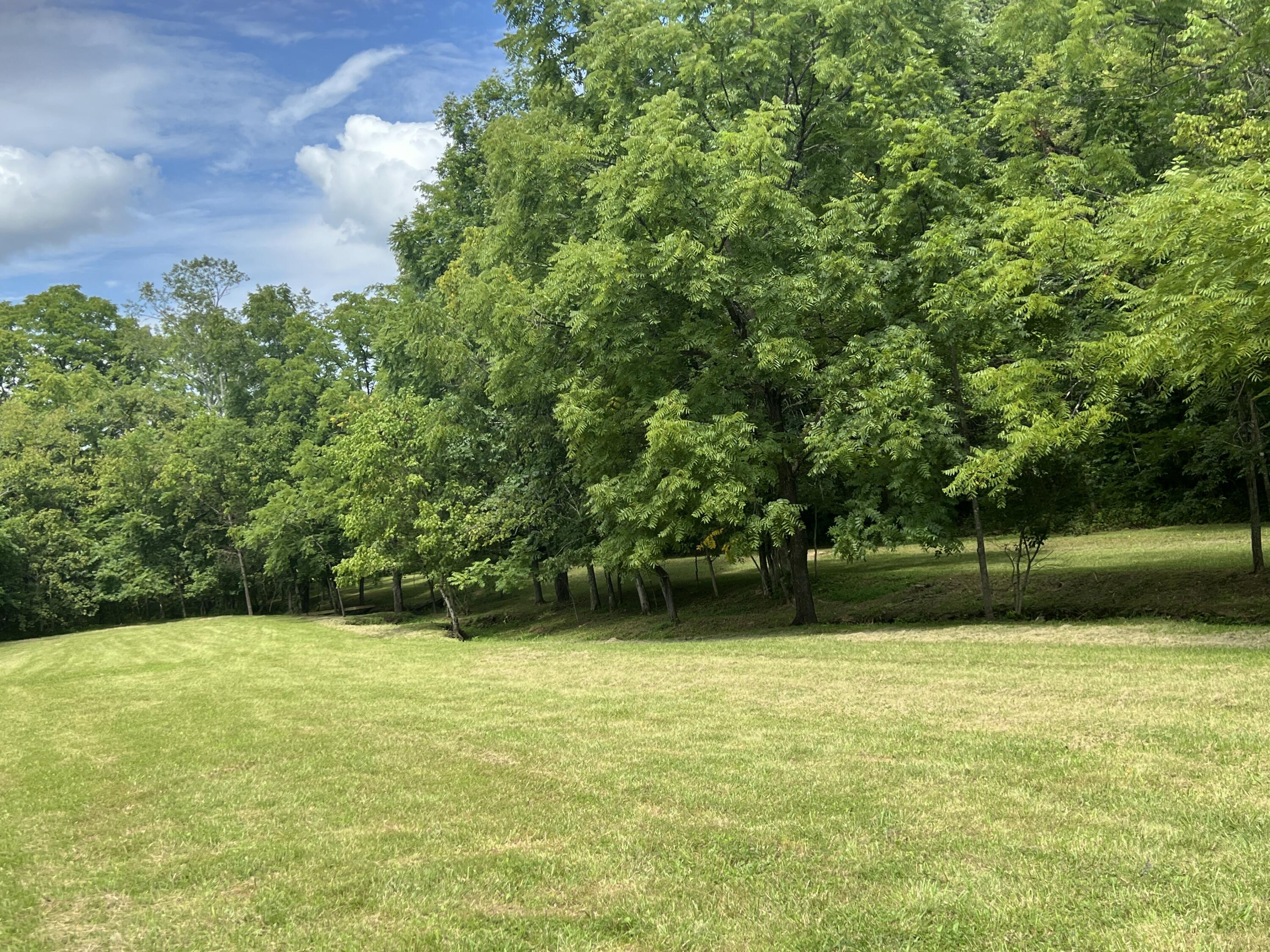 1599 Locust Fork Road Stamping Ground, KY 40379 - Photo 8 of 20 IMG_3471