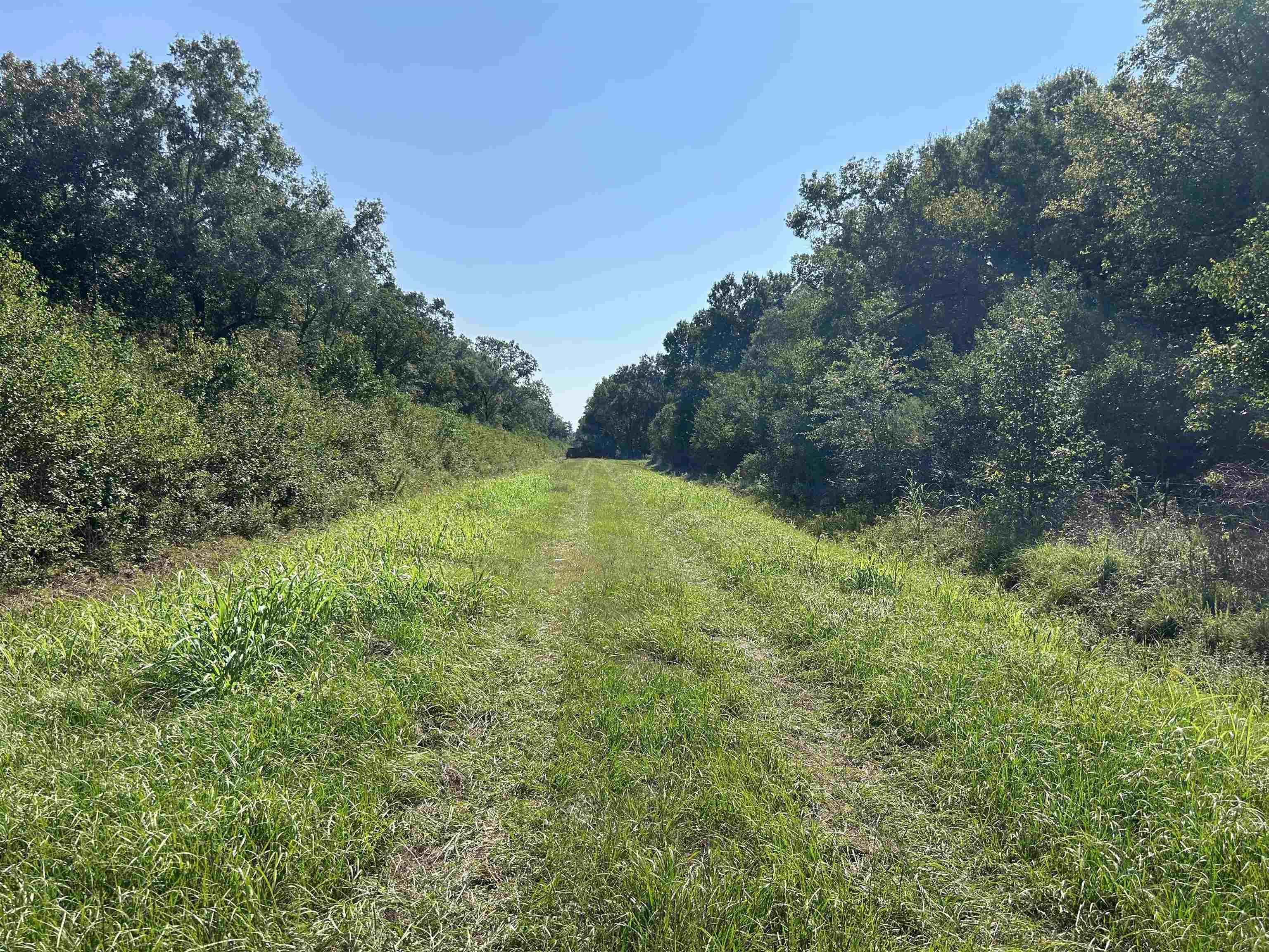 0 McGuire Road Liberty, TX 77575 - Photo 19 of 40