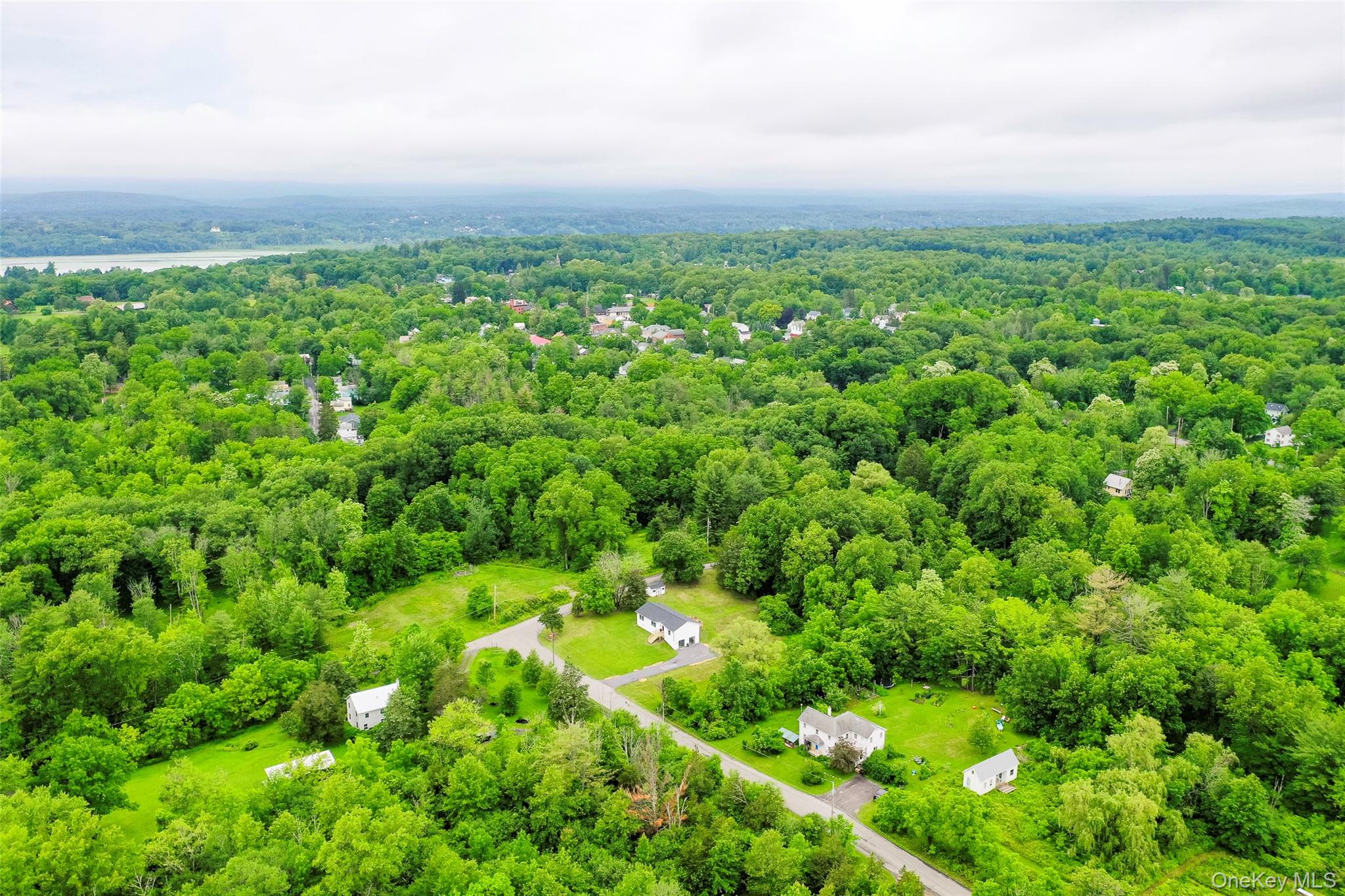 47 Clay Hill Road Tivoli, NY 12583 - Photo 36 of 43 a view of a big yard with plants and large trees