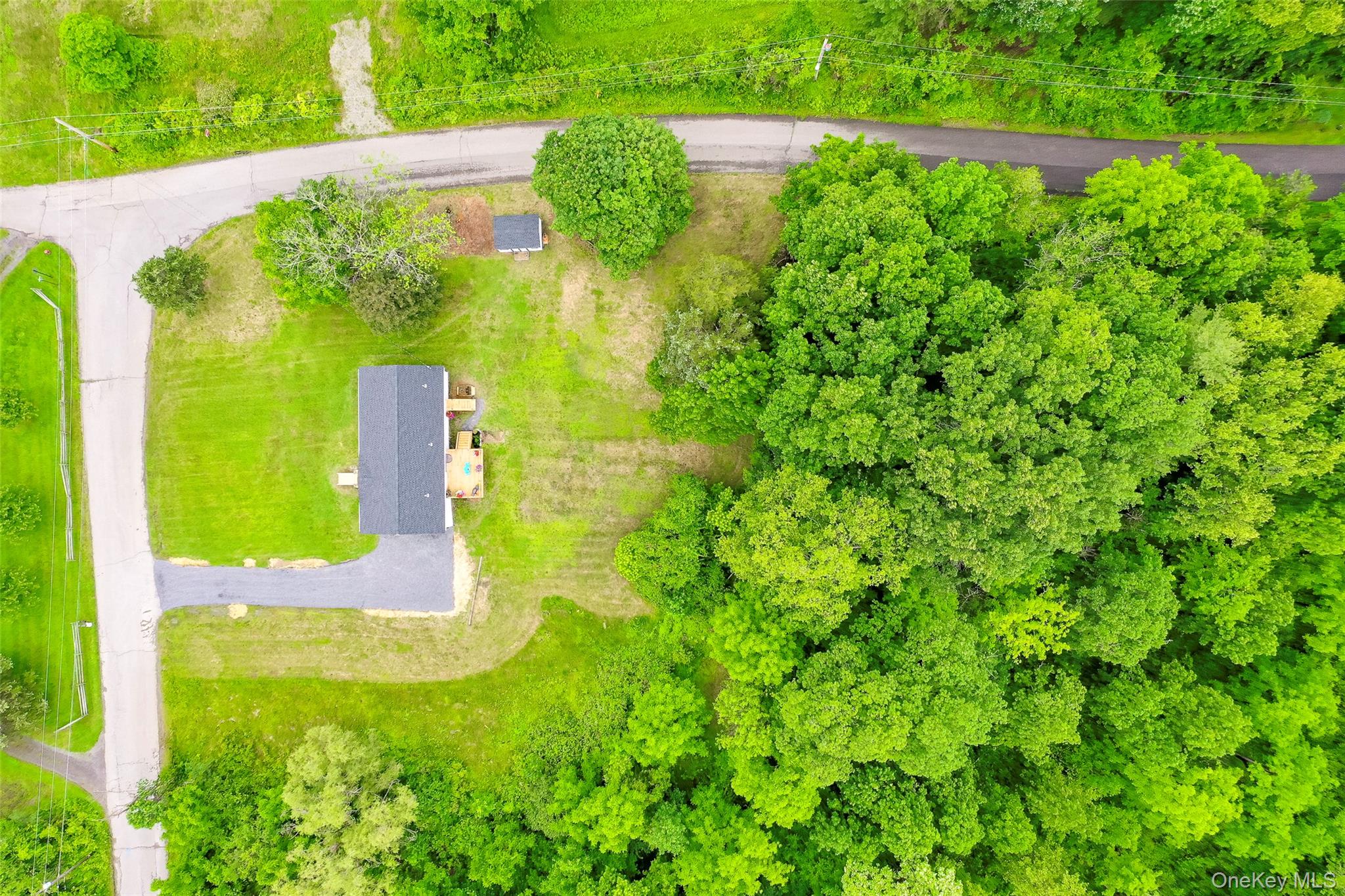 47 Clay Hill Road Tivoli, NY 12583 - Photo 37 of 43 a view of a garden