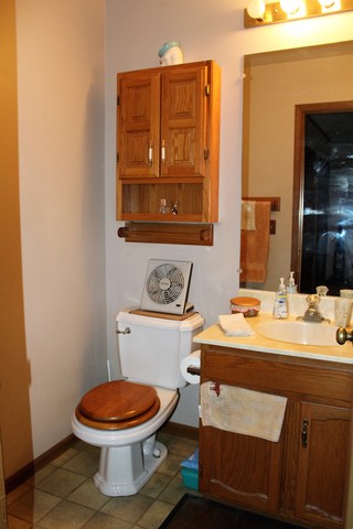 148 Fernwood Road Montgomery, IL 60538 - Photo 15 of 19 a bathroom with a sink a toilet and mirror